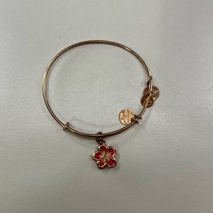 Alex & Ani Bracelet